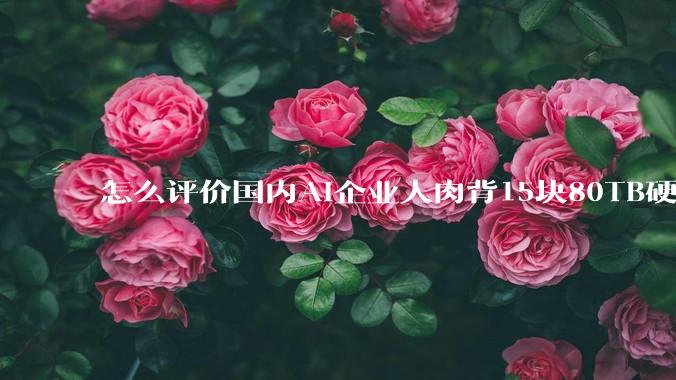 怎么评价国内AI企业人肉背15块80TB硬盘，飞去马来西亚用英伟达训练数据，以规避美国禁令?