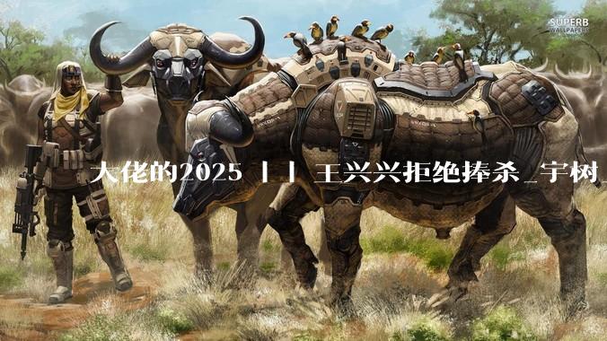 大佬的2025 | | 王兴兴拒绝捧杀_宇树_机器人_科技