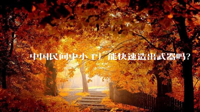 中国民间中小工厂能快速造出武器吗？