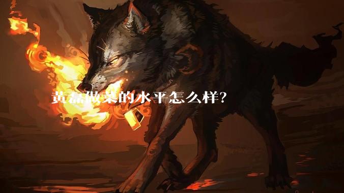 黄磊做菜的水平怎么样？