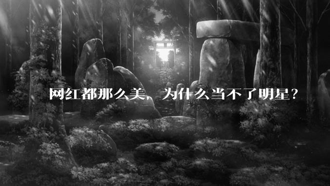 网红都那么美，为什么当不了明星？