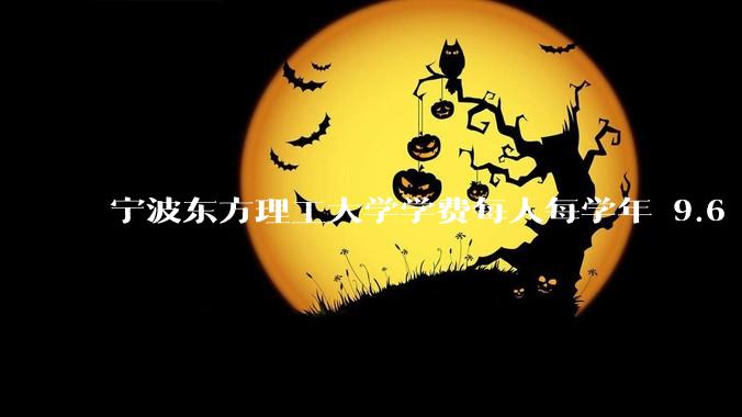 宁波东方理工大学学费每人每学年 9.6 万，为什么会这么贵？