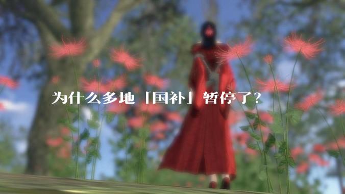 为什么多地「国补」暂停了？